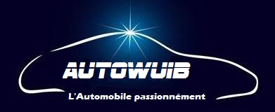 Logo autowuib 3